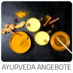 Trip Fun und Action   - zeigt Ayurvedische Hotel Reisen mit verschiedenen Behandlungsmethoden im Überblick. Die schönsten Länder für Ayurveda Kuren
